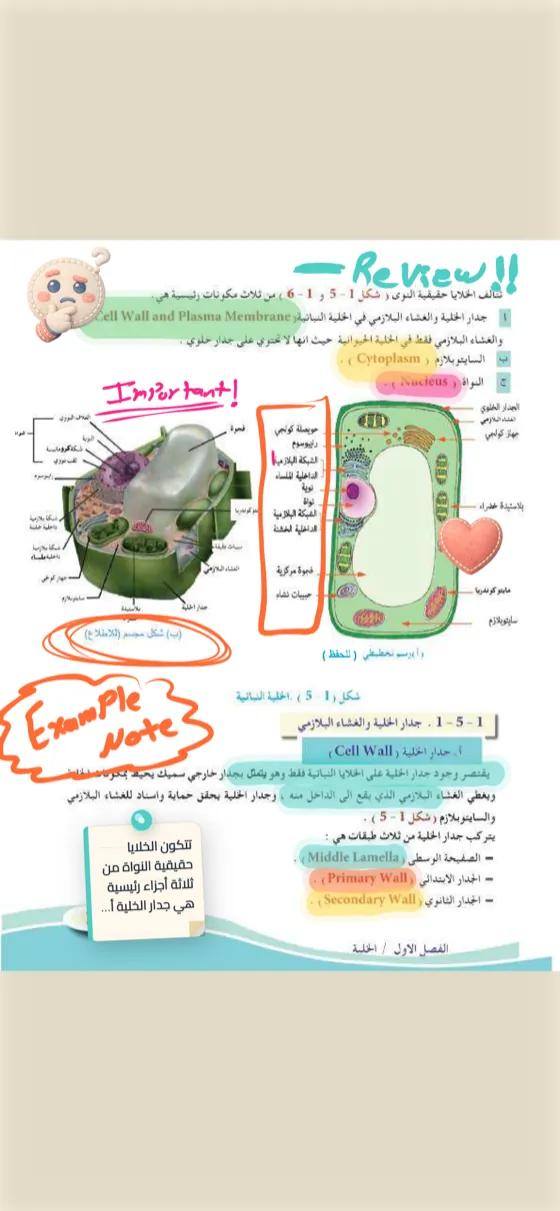 الكتابة على الصفحة